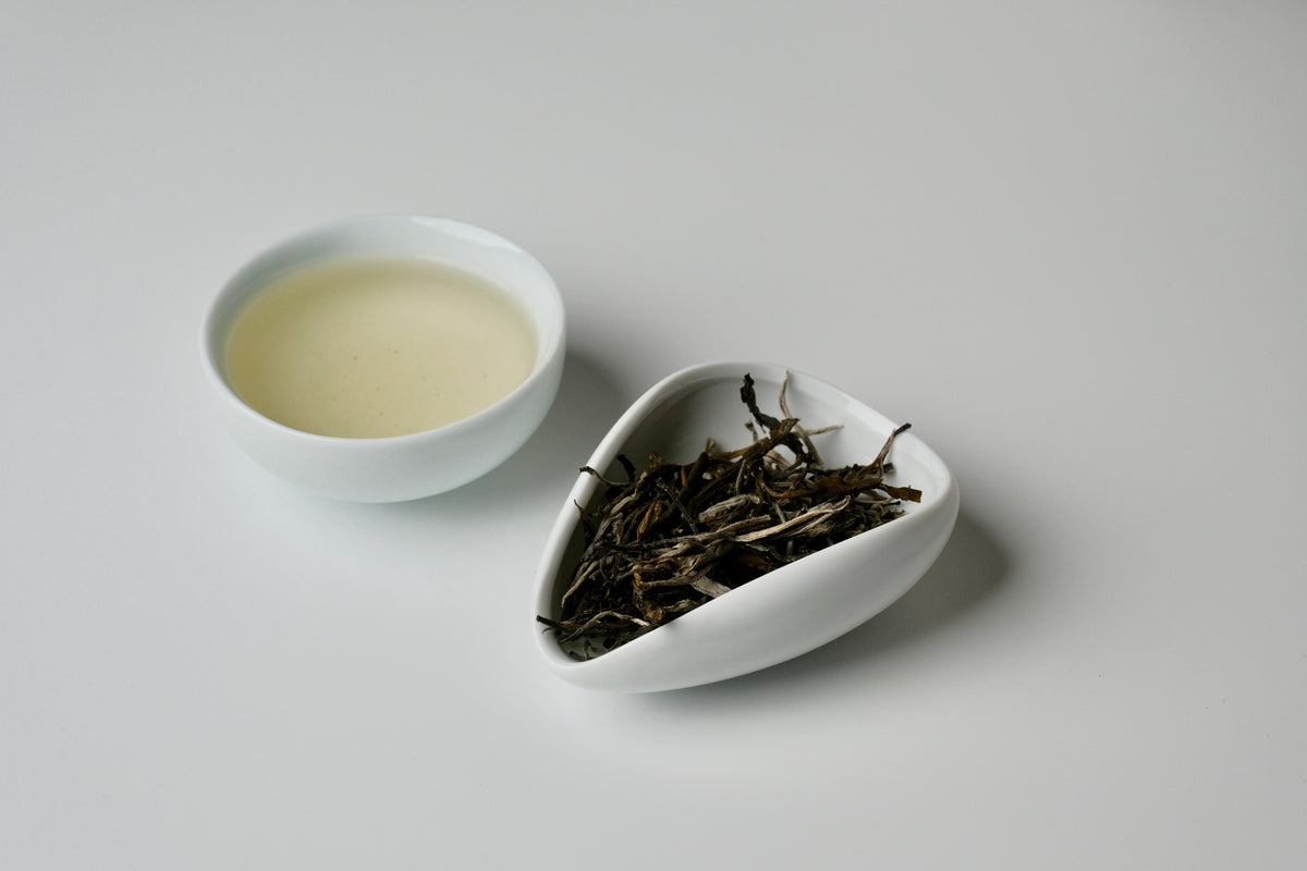 Ancient Green (100g Loose Leaf)